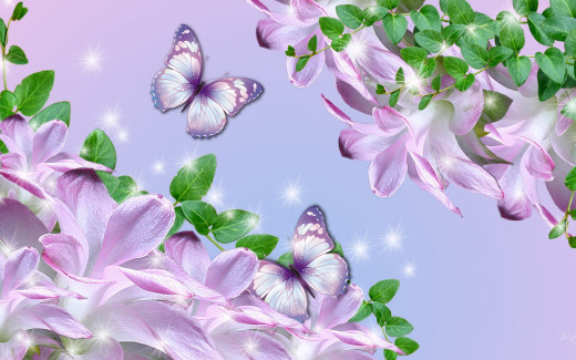 835142 (a): :2880x1800